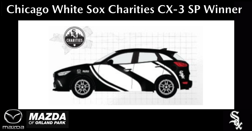 Chicago White Sox Charities Winner